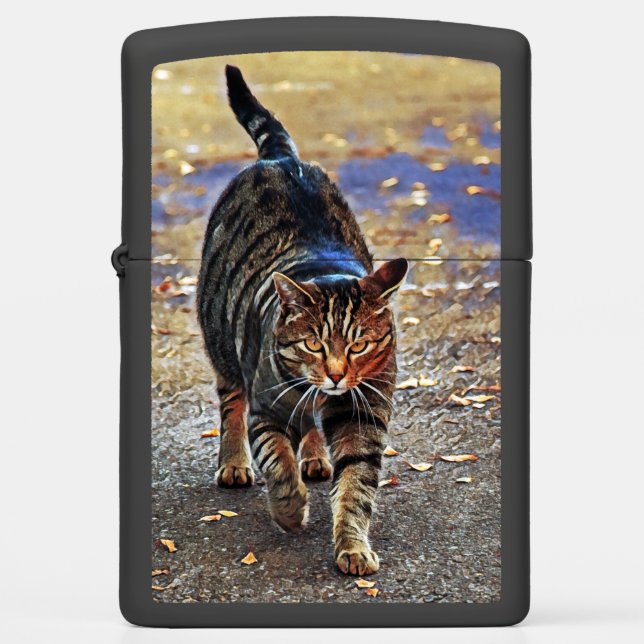 Zippo Lighter adorable cat (Front)