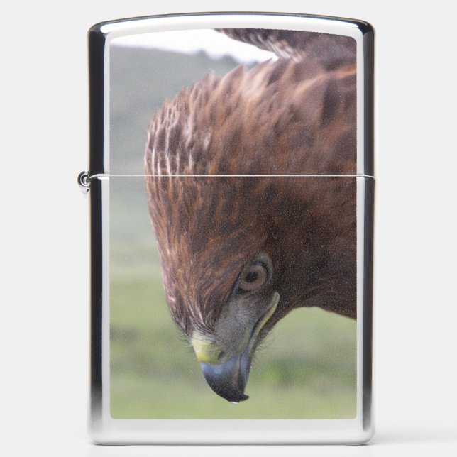 ZIPPO LIGHTER FEMALE RED TAILED HAWK (Front)