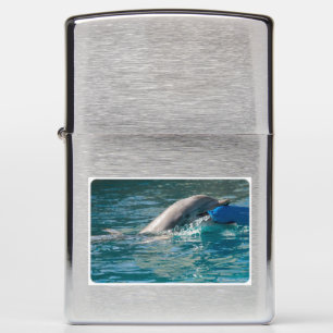 Zippo lighter for dolphin lovers