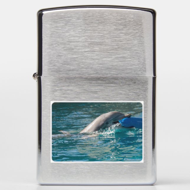 Zippo lighter for dolphin lovers (Front)