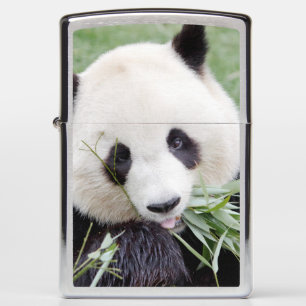 Zippo Lighter Photo giant panda , animals 0400.