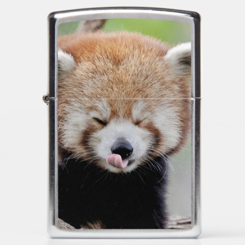 Zippo Lighter Photo red panda  animals 0617