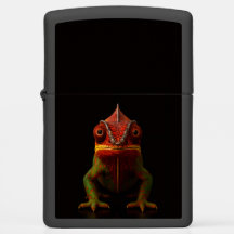 Zippo lighter with tropical Panther Chameleon
