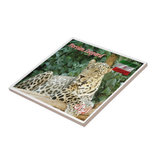 zIR006 PERSIAN LEOPARD, Iran, Asia, Ceramic Tile