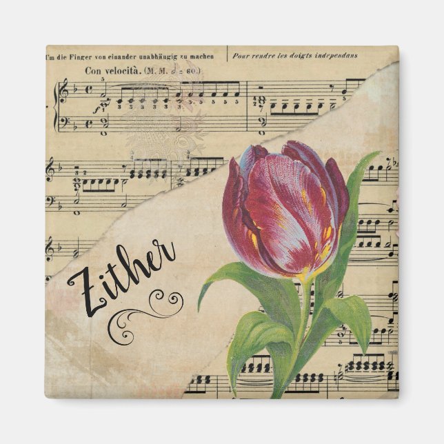 Zither Elegant Tulip Vintage Sheet Music Magnet (Front)