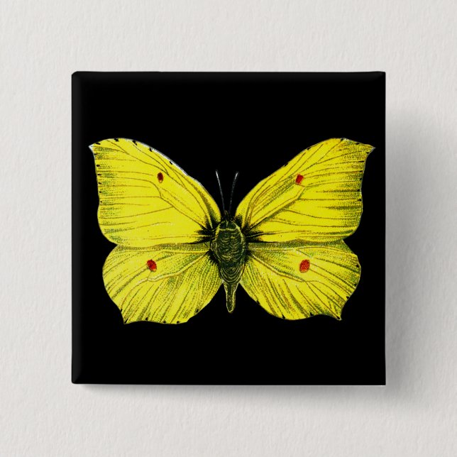 Zitronenfalter Button (Front)