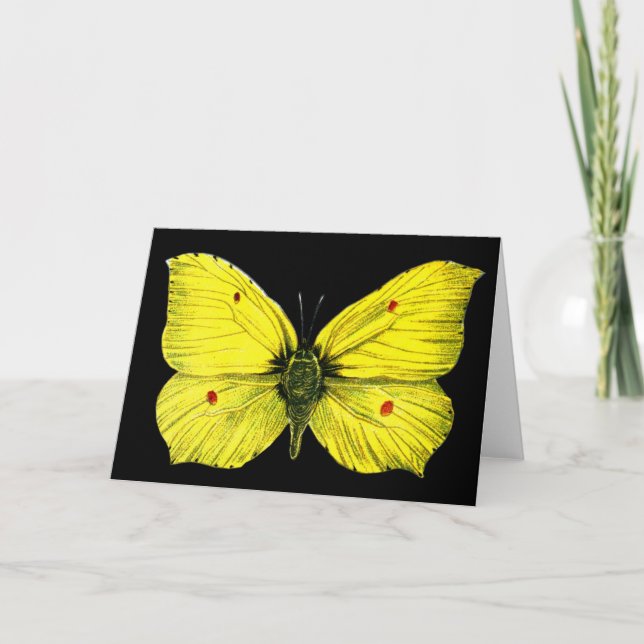 Zitronenfalter Card (Front)