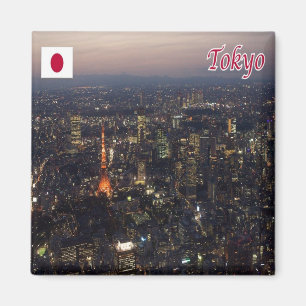 zJP008 TOKYO, Japan, Asia, Fridge Magnet