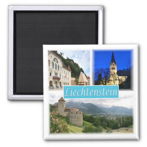 zLI003 VADUZ Liechtenstein Fridge Magnet