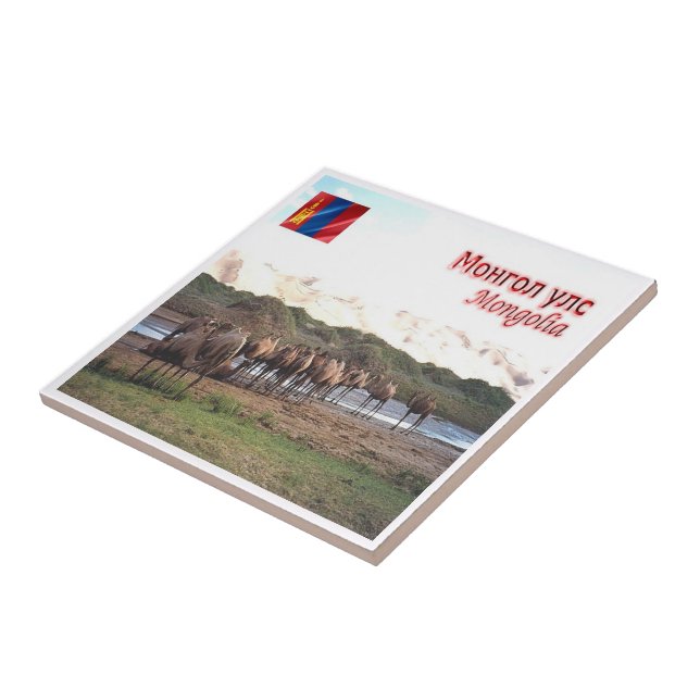 zMN008 KHONGORYN ELS CAMELS, Mongolia, Ceramic Tile (Side)