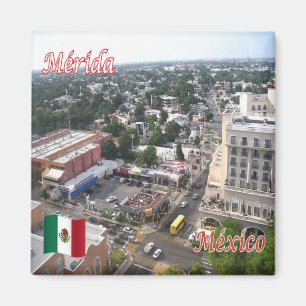 zMX016 MERIDA, Aerial View, Mexico, Yucatán,Fridge Magnet