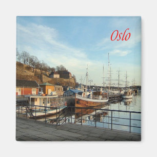 zNO166 OSLO, Norway, Europe, Fridge Magnet
