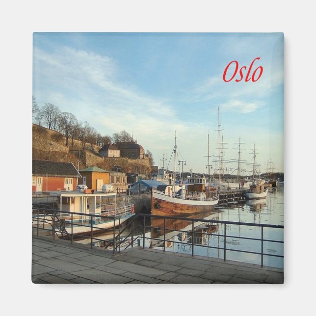 zNO166 OSLO, Norway, Europe, Fridge Magnet (Front)