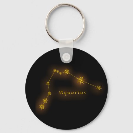Zodiac - Aquarius Keychain