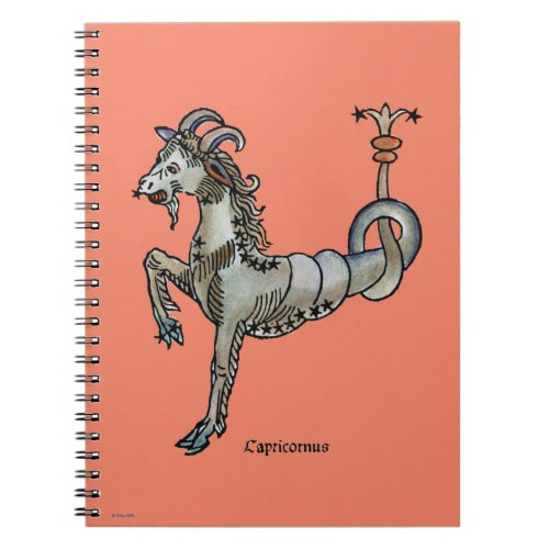 Zodiac Capricorn 1482 Notebook