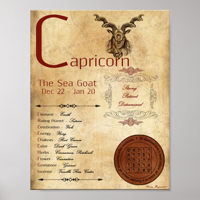 ZODIAC CAPRICORN  Birth Sign POSTER (Front)