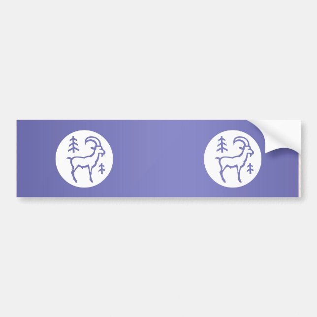 ZODIAC Capricorn Bumper Sticker (Front)