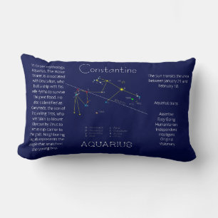 Zodiac Constellation Aquarius Funny Unique Lumbar Pillow