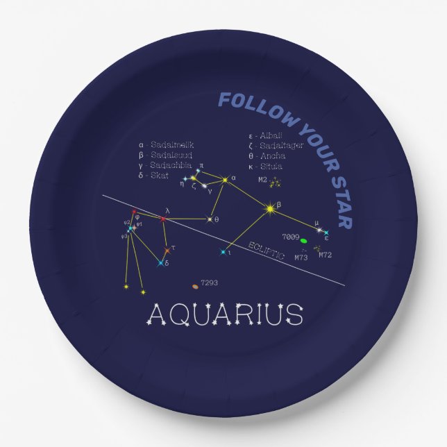 Zodiac Constellation Aquarius Paper Plates (Front)
