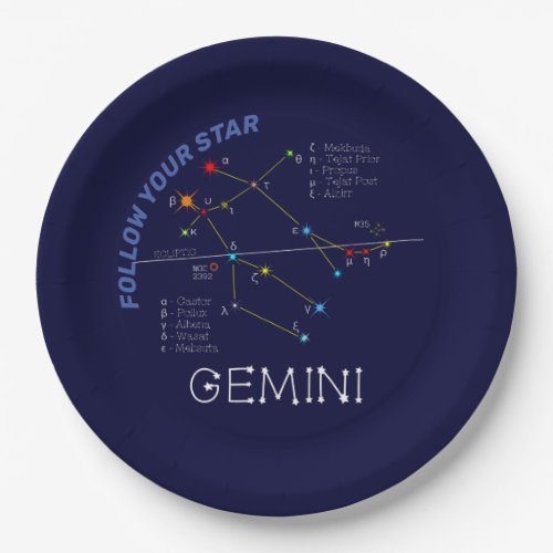 Zodiac Constellation Gemini Paper Plates