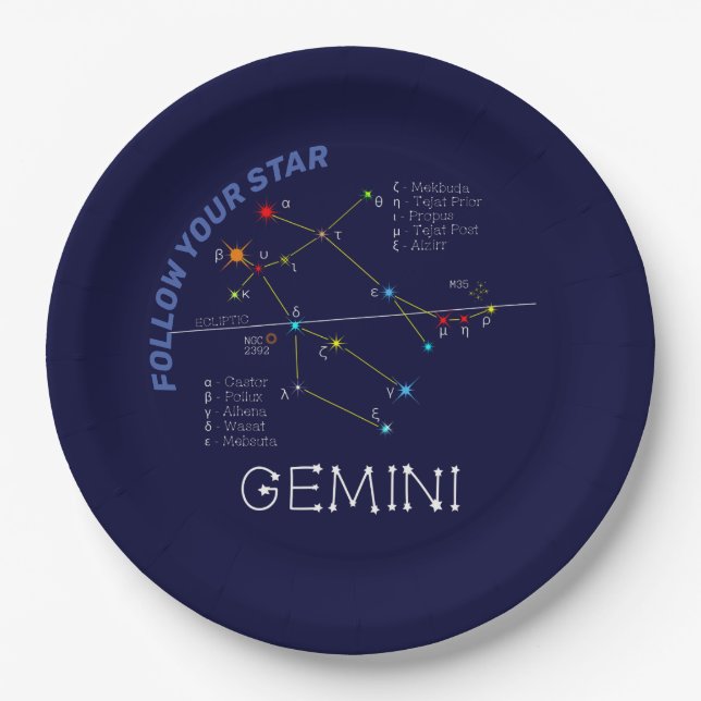 Zodiac Constellation Gemini Paper Plates (Front)
