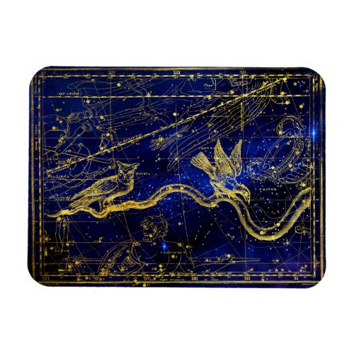 zodiac constellation magnet