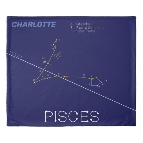 Zodiac Constellation Pisces Duvet Cover