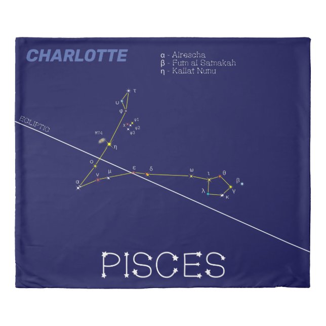 Zodiac Constellation Pisces Duvet Cover (Front)