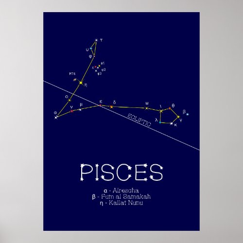 Zodiac Constellation Pisces Poster