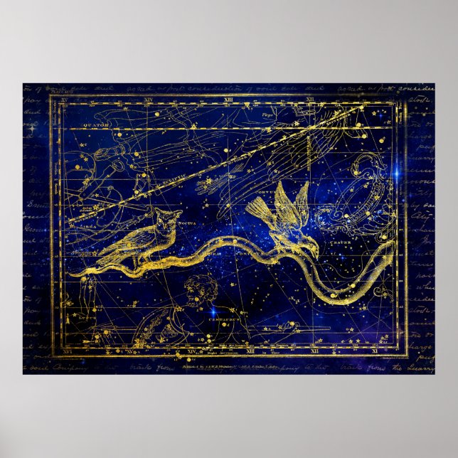 zodiac constellation poster (Front)
