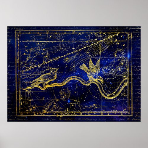zodiac constellation poster