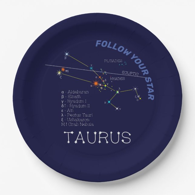 Zodiac Constellation Taurus Paper Plates (Front)