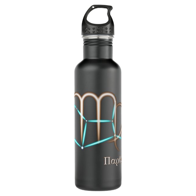 Zodiac Constellation Virgo Stainless Steel Water Bottle (Front)