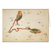 "Zodiac Sign: Pisces" cards (Front Horizontal)