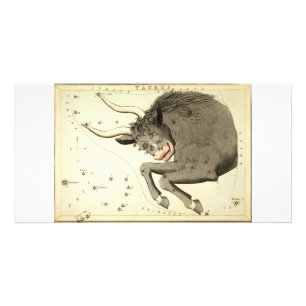 Zodiac Sign: Taurus collector photo cards