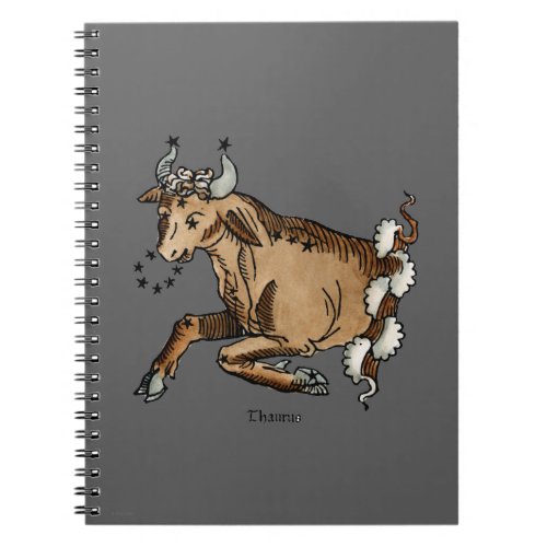 Zodiac Taurus 1482 Notebook