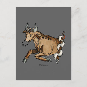 Zodiac: Taurus, 1482 Postcard
