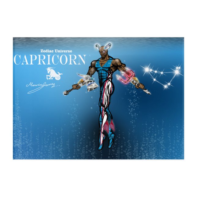 Zodiac Universe Capricorn - Acrylic Wall Art (Front)