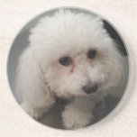 zoe coaster<br><div class="desc">zoe coaster</div>