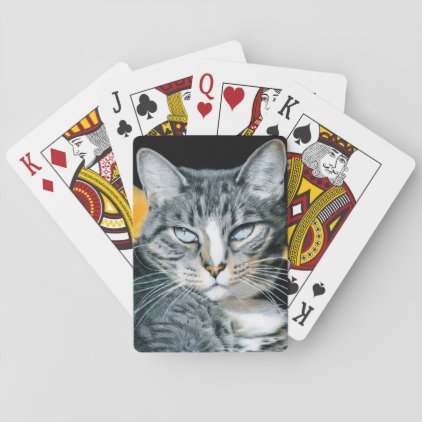 Zoe Kitty Card Deck