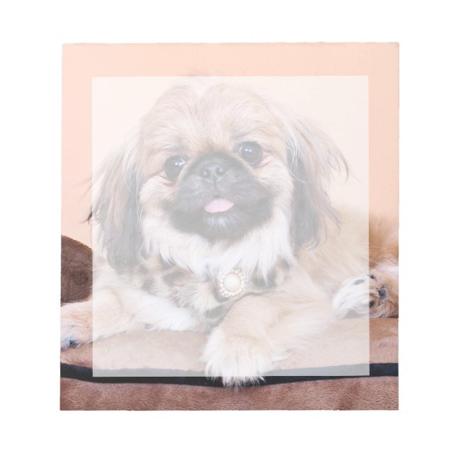 Zoe - Pekingese Notepad (Front)