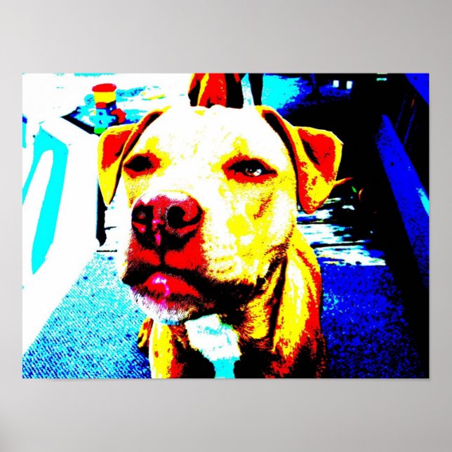 zoe posterized poster (Front)