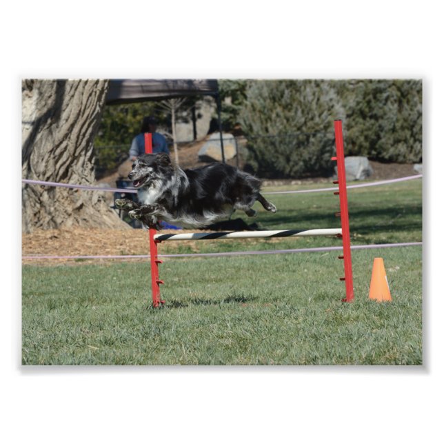 Zoey 1 photo print (Front)