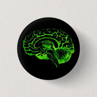 Zombie Brain Pinback Button