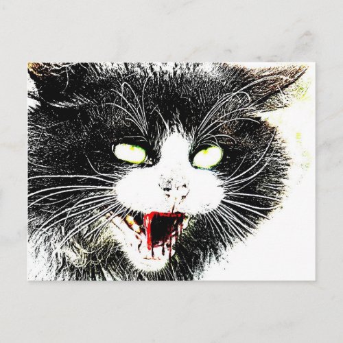 Zombie Cat Postcard