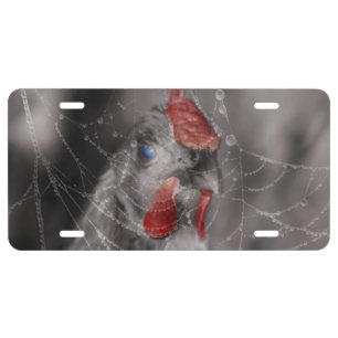 Zombie  Chicken License Plate