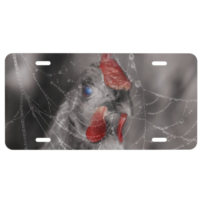 Zombie  Chicken License Plate (Front)