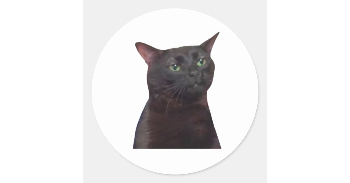 Zoned Out Cat, Black Cat Zoned Out Meme Classic Round Sticker Zazzle
