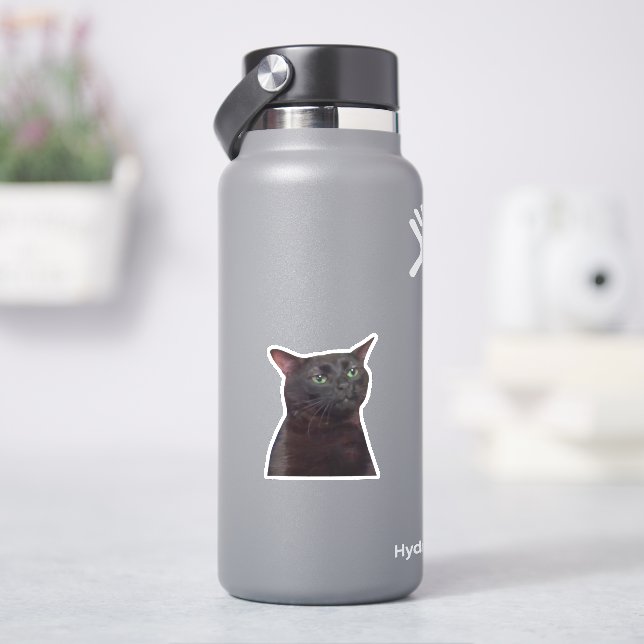 Zoned Out Cat, Black Cat Zoned Out Meme Sticker (HydroFlask)