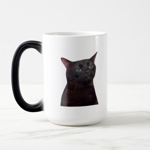 Zoned Out Cat zoned out Magic Mug